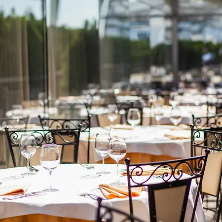 酒店 阿奈尔酒店 5*