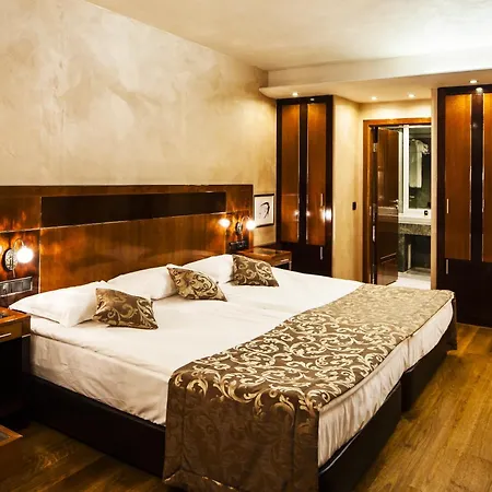 酒店 阿奈尔酒店 索菲亞