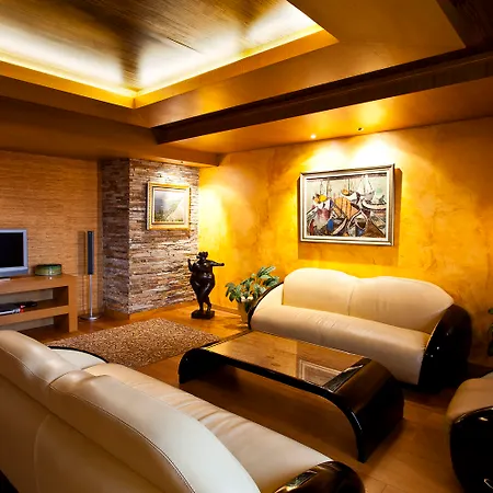 阿奈尔酒店 索菲亞