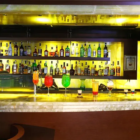 酒店 阿奈尔酒店 索菲亞