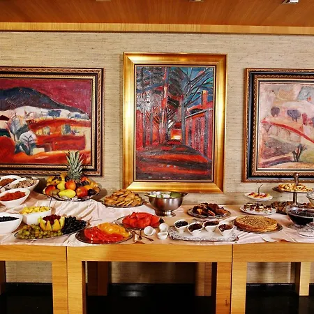 阿奈尔酒店 酒店 索菲亞