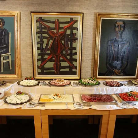 酒店 阿奈尔酒店 索菲亞