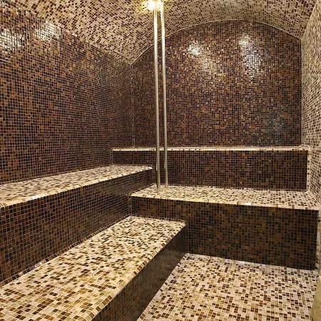 阿奈尔酒店 酒店 索菲亞